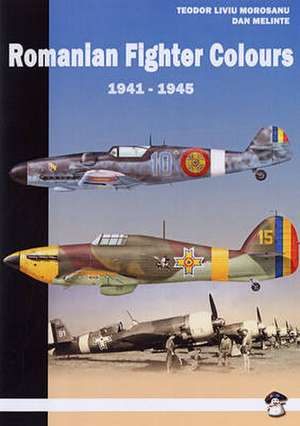 Romanian Fighter Colors 1941-1945