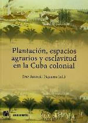 Plantación, espacios agrarios y esclavitud en la Cuba colonial de Josep Antoni Piqueras Arenas