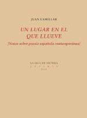 Un lugar en el que llueve : notas sobre poesía española contemporánea de Juan Lamillar