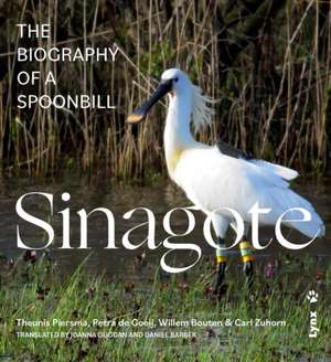 SINAGOTE - INGLES