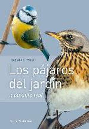 Los pájaros del jardín : a tamaño natural de Daniela Strauß