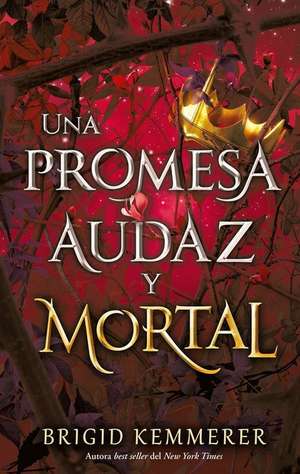 Una Promesa Audaz Y Mortal de Brigid Kemmerer