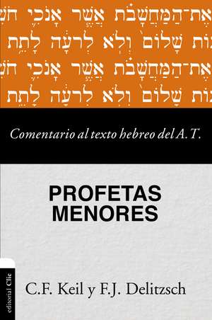 Comentario al texto hebreo del Antiguo Testamento - Profetas Menores de Carl Friedrich Keil