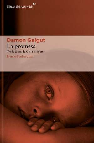 La Promesa de Damon Galgut