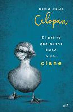 El patito que nunca llegó a ser cisne de Celopan