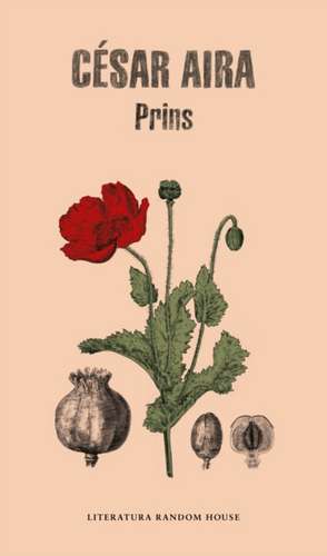 Prins (Spanish Edition) de Cesar Aira