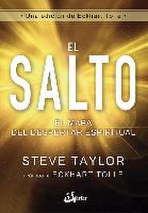 El salto : el mapa del despertar espiritual de Steve Taylor