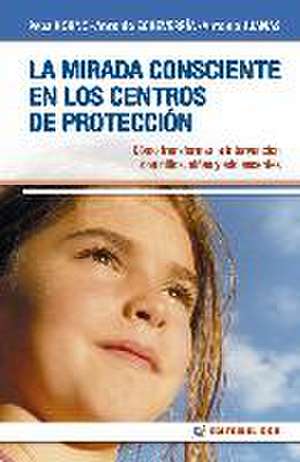 La mirada consciente en los centros de protección : cómo transformar la intervención con niños, niñas y adolescentes de Josefa Horno Goicoechea