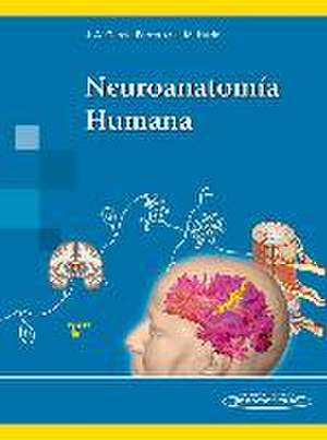 Neuroanatomía humana de Juan M. Hurlé González