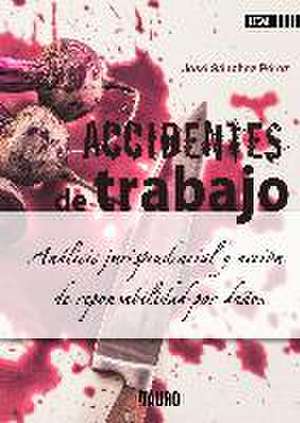 Accidentes de trabajo : análisis jurisprudencial y acción de responsabilidad por daños de José Sánchez Pérez