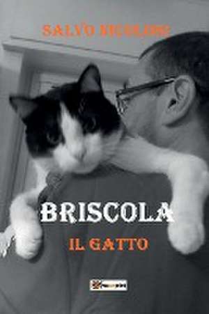 Briscola il Gatto de Salvo Nicolosi