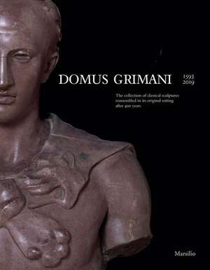 Domus Grimani de Toto Rossi