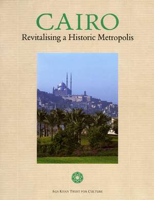 Cairo: Revitalising a Historic Metropolis de STEVEN BOEHNKE