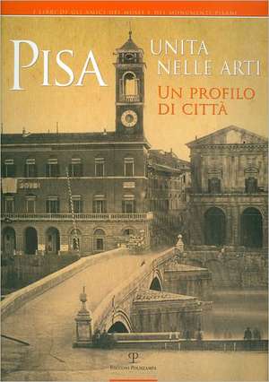 Pisa Unita Nelle Arti: Un Profilo Di Citta de Stefano Bruni