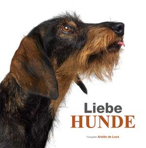 Liebe Hunde de Araldo de Luca