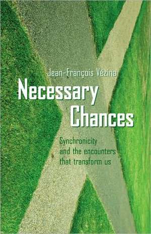 Necessary Chances: Synchronicity in the Encounters That Transform Us de Jeff Vezina