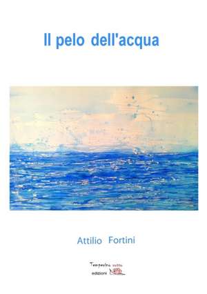 Il pelo dell'acqua de Attilio Fortini