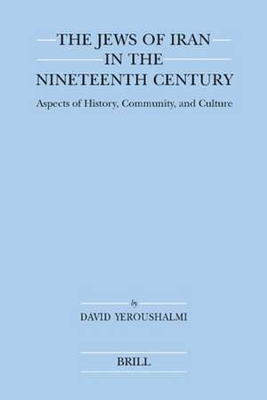 The Jews of Iran in the Nineteenth Century (paperback): Aspects of History, Community, and Culture de David Yeroushalmi