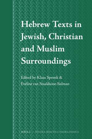 Hebrew Texts in Jewish, Christian and Muslim Surroundings de Klaas Spronk