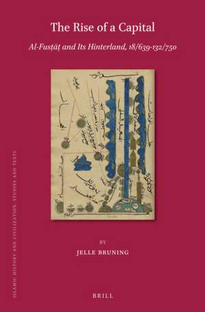 The Rise of a Capital: Al-Fusṭāṭ and Its Hinterland, 18/639-132/750 de Jelle Bruning