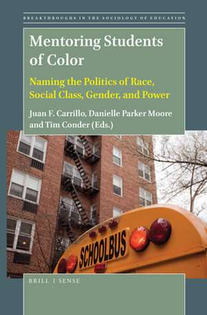 Mentoring Students of Color: Naming the Politics of Race, Social Class, Gender, and Power de Juan F. Carrillo