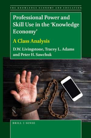 Professional Power and Skill Use in the 'Knowledge Economy': A Class Analysis de D. W. Livingstone