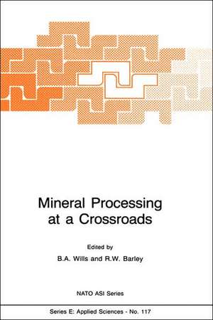 Mineral Processing at a Crossroads: Problems and Prospects de B.A. Wills