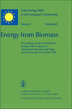 Energy from Biomass: Proceedings of the Workshop on Biomass Pilot Projects on Methanol Production and Algae, held in Brussels, 22 October 1981 de Willeke Palz