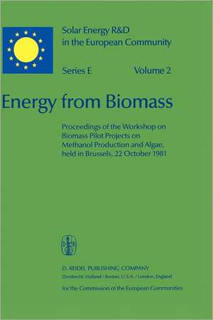 Energy from Biomass de Willeke Palz