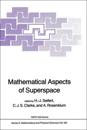 Mathematical Aspects of Superspace de H.J. Seifert