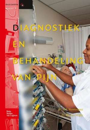 Diagnostiek en behandeling van pijn de Gerbrig J. Versteegen