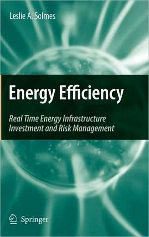 Energy Efficiency: Real Time Energy Infrastructure Investment and Risk Management de Leslie A. Solmes