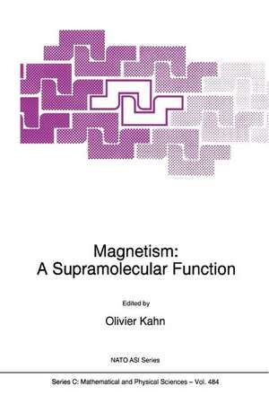 Magnetism: A Supramolecular Function de O. Kahn