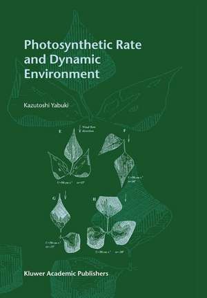 Photosynthetic Rate and Dynamic Environment de Kazutoshi Yabuki