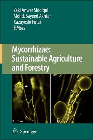 Mycorrhizae: Sustainable Agriculture and Forestry de Zaki Anwar Siddiqui