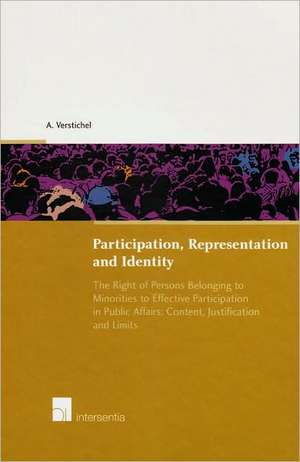 Participation, Representation and Identity de Annelies Verstichel