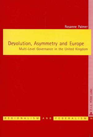 Devolution, Asymmetry and Europe de Rosanne Palmer