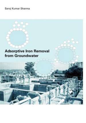 Adsorptive Iron Removal from Groundwater de Sharoz Kumar Sharma