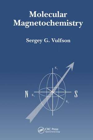 Molecular Magnetochemistry de Sergey Vulfson PhD
