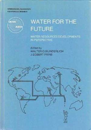 Water for the Future: Proceedings of the International Symposium on Water for the Future, Rome, 6-11 Apri de Ray C. Wunderlich