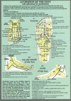 Acupoints of the Feet -- A4 de Jan van Baarle