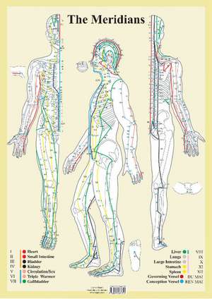 Meridians -- A2 de Jan van Baarle