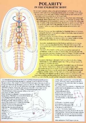 Polarity in the Energetic Body -- A4 de Jan van Baarle