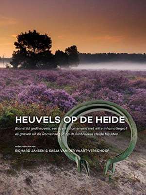 Heuvels op de Heide de Richard Jansen