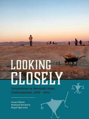 Looking Closely de Susan Pollock