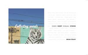 Collecting Words: Short Visual Stories de Brian Fouhy