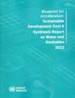 Blueprint for Acceleration Sdg 6 Synthesis Report 2023 on Water and Sanitation de United Nations Publications