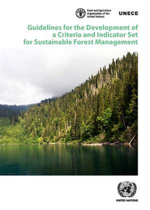 Guidelines for the Development of a Criteria and Indicator Set for Sustainable Forest Management de United Nations Publications