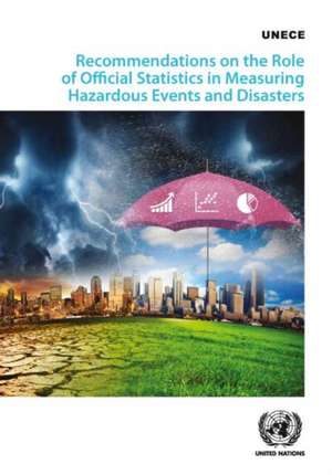 Recommendations on Measuring Hazardous Events and Disasters de United Nations Publications