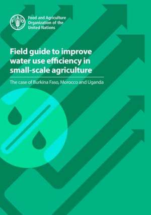 Field guide to improve water use efficiency in small-scale agriculture de N. Lamaddalena